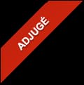 logo adjugé