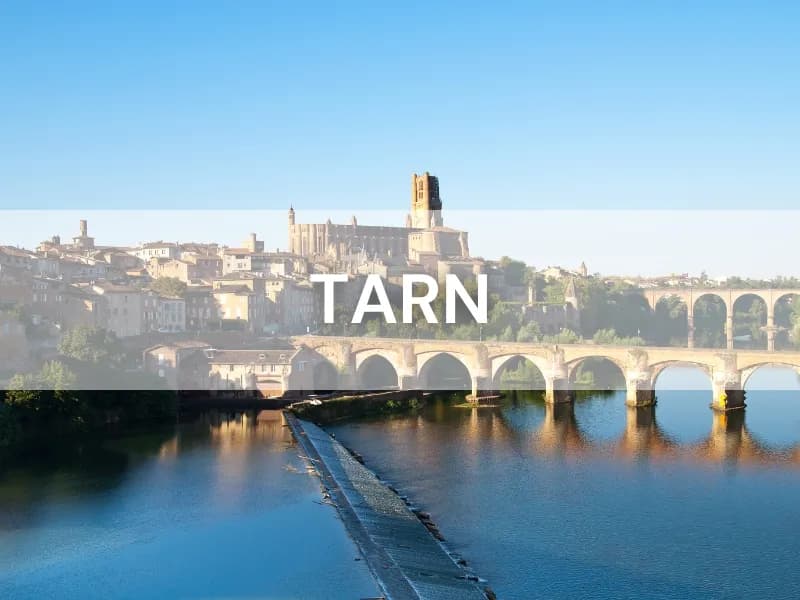 Enchères immobilières Tarn (81)