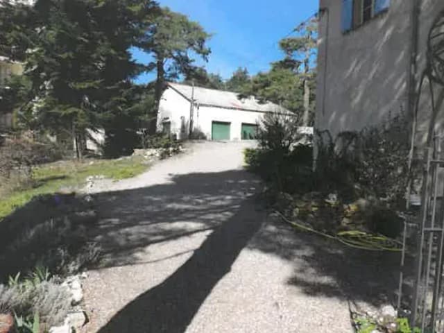 image N° 8 de la vente