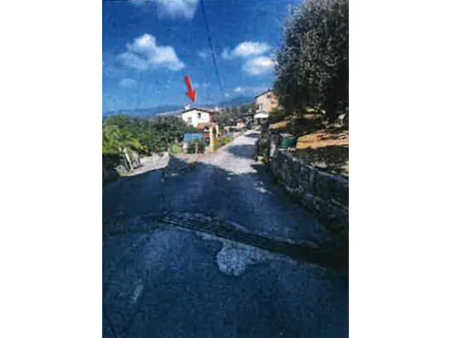 image N° 1 de la vente