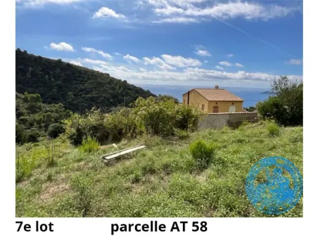 image N° 19 de la vente
