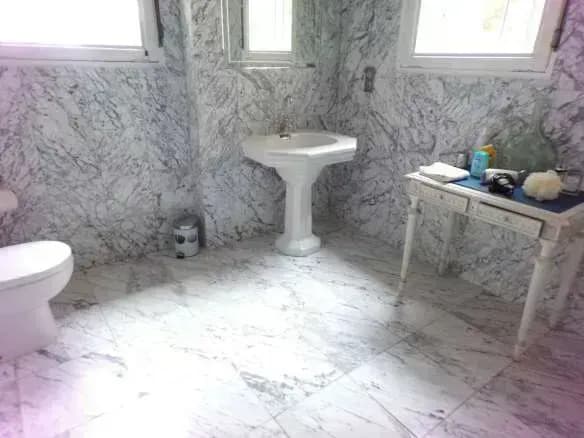 image N° 20 de la vente