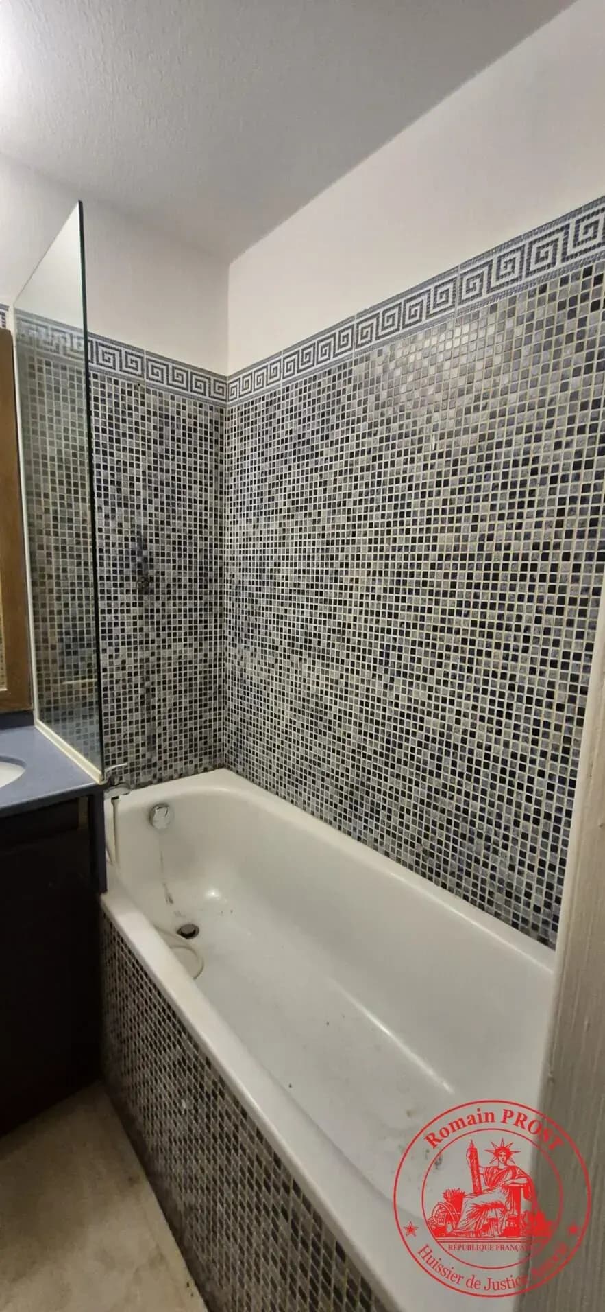 image N° 11 de la vente