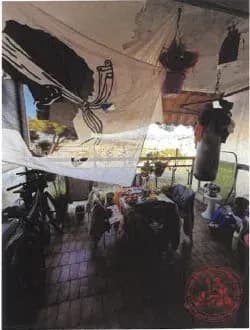 image N° 6 de la vente