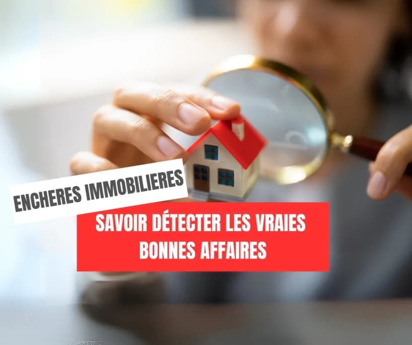 Savoir détecter les vraies bonnes affaires aux enchères judiciaires