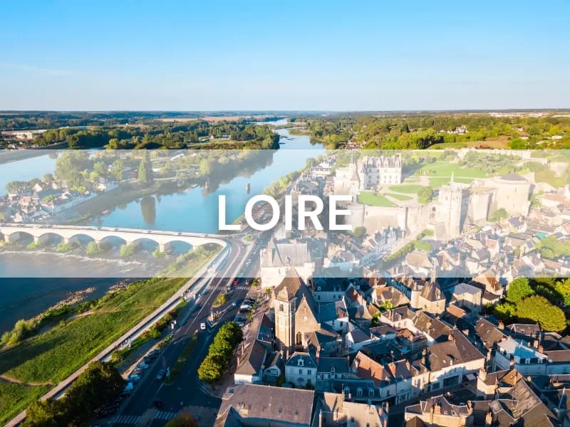 Enchères immobilières Loire (42)
